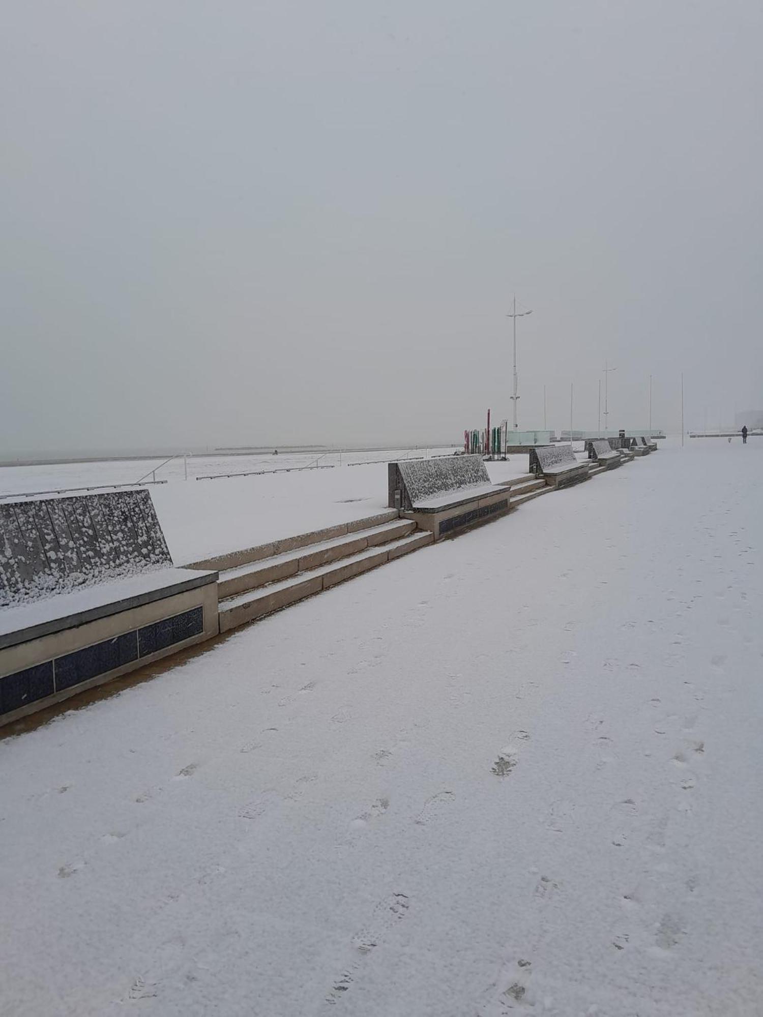 Maison De Ville Restylee Avec Jardin, Proche Gare Dunkirk Exterior foto